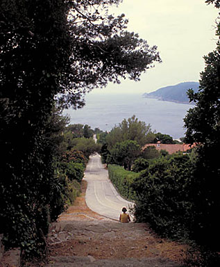 Croisement du chemin de la Perspective et de la corniche de l'Arbousier.