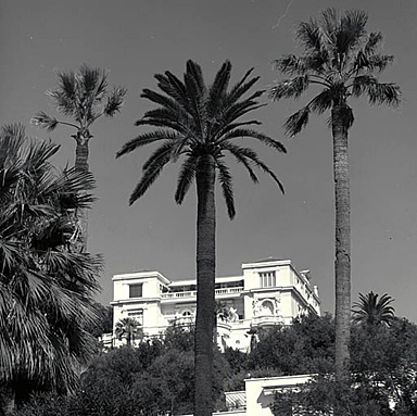 Le château. Vue de situation prise du boulevard.