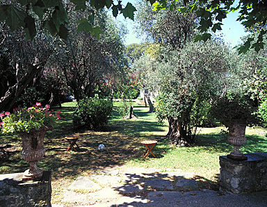 L'oliveraie. Vue prise de la cour vers l'ouest.