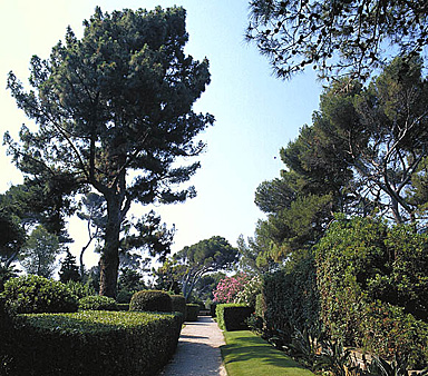 Allée régulière en bordure de la grande terrasse occidentale. Vue prise vers le sud.