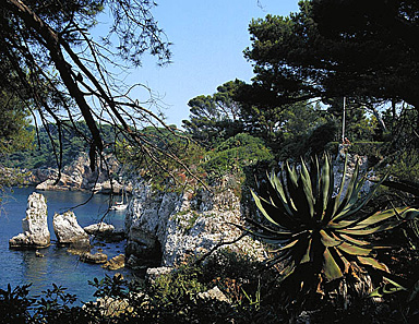 Le rivage occidental. Vue prise du sentier contournant le parterre du miroir d'eau.