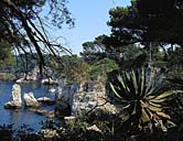 Le rivage occidental. Vue prise du sentier contournant le parterre du miroir d'eau.