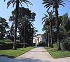 L'avenue d'accès bordée de phoenix canariensis. Au fond, la villa.
