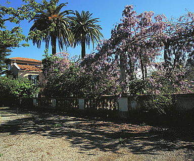 Le jardin. La balustrade en clôture à l'est. Vue de volume.