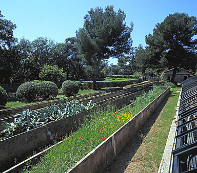 L'ancien jardin fleuriste et les châssis de pépinière. Vue de volume prise vers le sud-ouest.