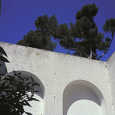 Le patio. Le côté ouest. Vue partielle prise du porche.