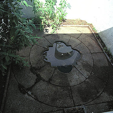 Le patio. Le bassin. Vue prise du porche.
