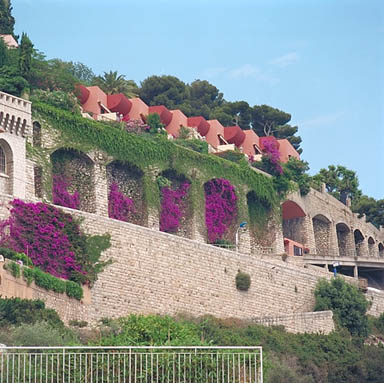 Vue partielle du mur de soutènement de la parcelle 464, construit en bordure de l'avenue, depuis le sud .