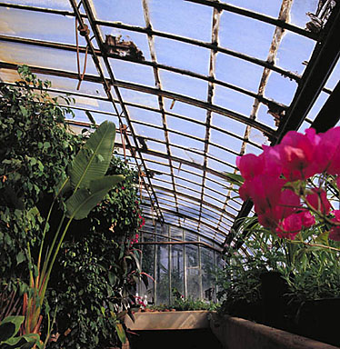 Serre. Intérieur.