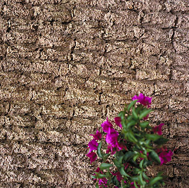 Détail de l'enduit des façades.