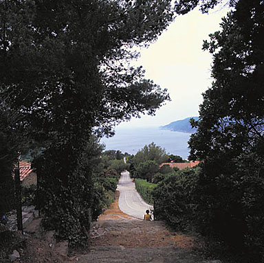 Croisement du chemin de la Perspective et de la corniche de l'Arbousier.