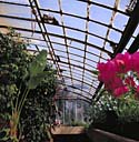 Serre. Intérieur.