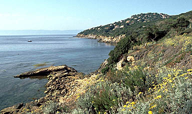 Sentier vers la plage des grottes.