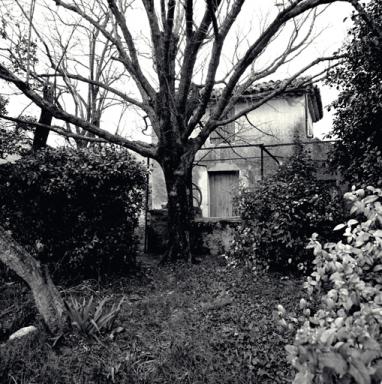 Façade antérieure, puits et treille.
