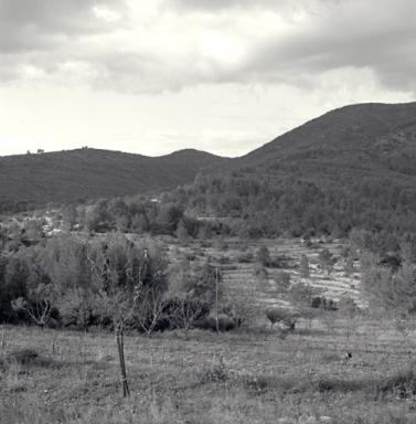 Vue de situation prise du sud-est, ensemble de restanques, bastidon et aire à battre.