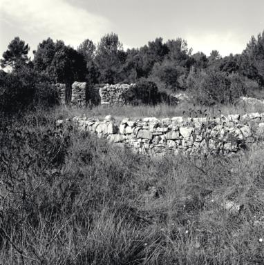 Vestiges de bastidon et mur de soutènement de l'aire à battre.