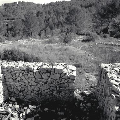 Au premier plan, revers de la façade du bastidon, aire à battre, chemin et terrasses de culture.