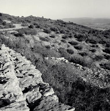 Vue prise vers Cuers, au premier plan les ruches.