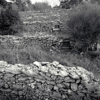 Cultures en terrasses, escalier.