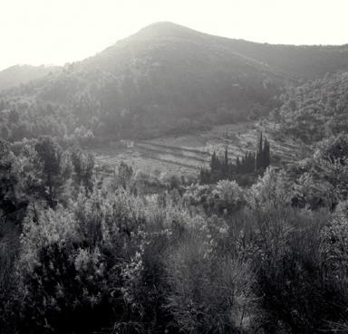 Site avec bastidon à l'entrée d'un vallon.