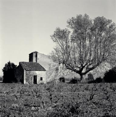 Vue prise du sud : mur pignon et écurie.