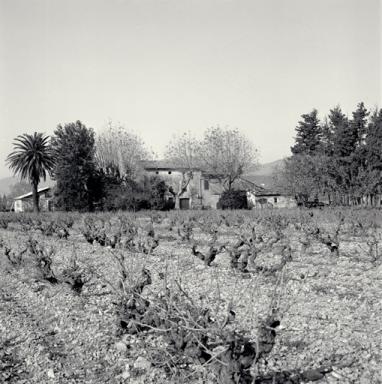 Vue d'ensemble des faades antrieures.