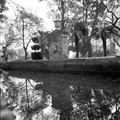 Bassin.
