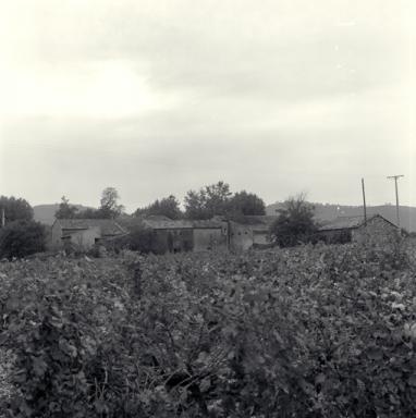Vue d'ensemble, prise du nord-est.