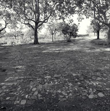 Aire à battre.