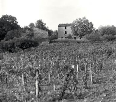 Vue de situation prise du sud-ouest.