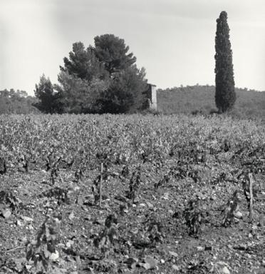 Vue de situation prise de l'est.