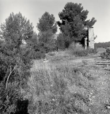 Vue de profil.
