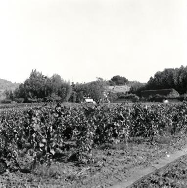 Vue de situation prise de l'ouest.