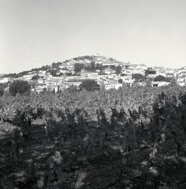 Vue de situation prise du sud-est.