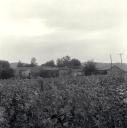 Vue d'ensemble, prise du nord-est.
