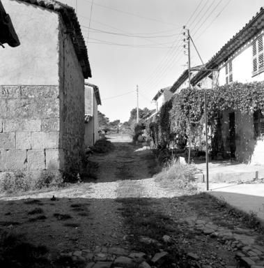 Rue.
