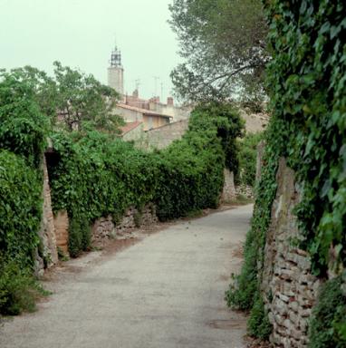 La rue Emilie Gasquet prise du beffroi.