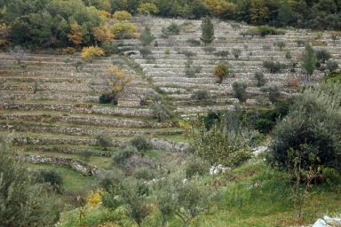 Vue d'ensemble.