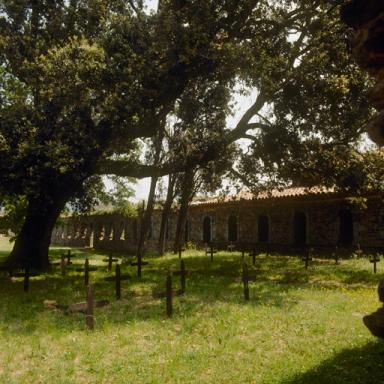 Grand cloître, vue d'ensemble prise de l'angle sud-ouest.