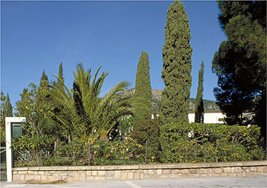 Le jardin depuis la route, au sud.