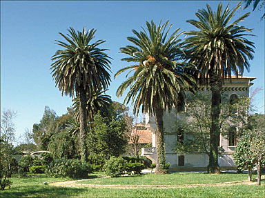 Façade latérale est. Vue générale depuis le jardin.
