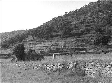 Terrains agricoles, vue d'ensemble avec noria au premier plan.