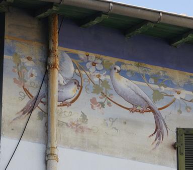 Elvation sud. Frise peinte reprsentant des colombes.