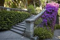 Escalier entre la terrasse en terre-plein et le jardin.