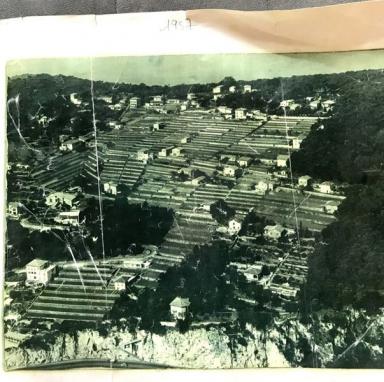 Vue aérienne du "lotissement" forestier du Mont-Boron en 1957@Vue aérienne du "lotissement" forestier du Mont-Boron en 1957@Vue aérienne du "lotissement" forestier du Mont-Boron en 1957
