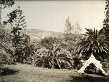 Le jardin de la Villa Vigier.