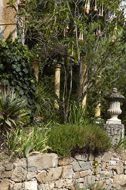 Abords de l'lvation est : vase dcoratif, petite pergola et brugmansia Grand Marnier.