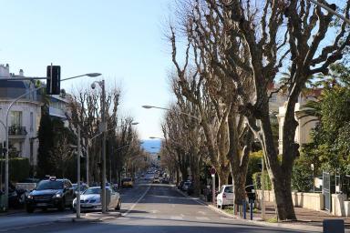Vue descendante du boulevard depuis son sommet, au-devant du jardin de l'ancien hôtel Régina
