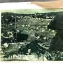 Vue arienne du "lotissement" forestier du Mont-Boron en 1957@Vue arienne du "lotissement" forestier du Mont-Boron en 1957@Vue arienne du "lotissement" forestier du Mont-Boron en 1957