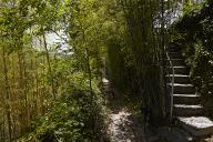 Escalier reliant la grande terrasse et la piscine. Petite alle, borde de bambous, conduisant au portail donnant sur le chemin rural N 12 dit chemin de Mulets.
